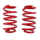 Promotions RACES performance coilover kit for Volkswagen Golf GTI (99-00) | races-shop.com