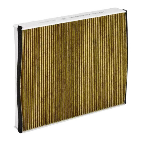 Cabin air filters RYCO N99 MicroShield cabin air filter RCA287M | races-shop.com