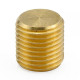 Plugs Brass blanking plug M10x1,0 - male | races-shop.com