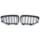 Outlet RACES grille (Double Bar Performance) for BMW E81 E82 E87 E88 LCI, gloss DAMAGED | races-shop.com
