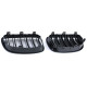 Outlet RACES grille (Double Bar Performance) for BMW E81 E82 E87 E88 LCI, gloss DAMAGED | races-shop.com