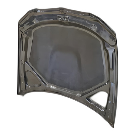 Body kit and visual accessories HGK bonnet for BMW E92 | races-shop.com