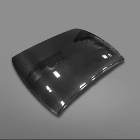 Body kit and visual accessories HGK BMW E46 roof (race version) | races-shop.com