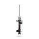 Sport shock absorbers Pedders 129133L Sealed Strut | races-shop.com
