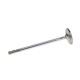 Engine parts Manley Ford 4.6L Modular V8 Int Valve 37.00mm x 5339 x .2750 | races-shop.com
