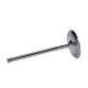Engine parts Manley Titanium Series Chevy LS-7 Intake Valve | races-shop.com