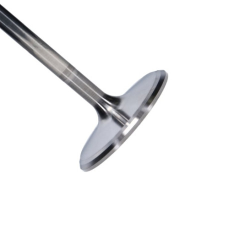 Engine parts Manley Titanium Series Chevy LS-7 Intake Valve | races-shop.com