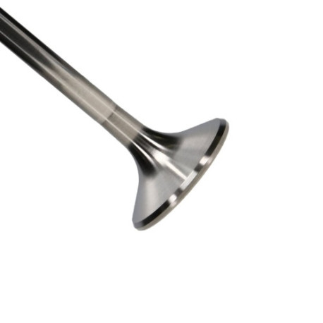 Engine parts Manley Titanium Series BBC Exhaust Valve | races-shop.com