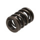 Engine parts Manley Valve Spring HONDA H22 V-TEC | races-shop.com