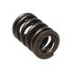 Engine parts Manley Valve Spring HONDA H22 V-TEC | races-shop.com