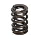 Engine parts Manley Valve Spring HONDA H22 V-TEC | races-shop.com