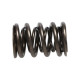 Engine parts Manley Valve Spring HONDA H22 V-TEC | races-shop.com