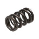 Engine parts Manley Valve Spring HONDA B SERIES NON V-TEC | races-shop.com