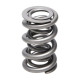 Engine parts Manley Valve Spring 1.500 DOUBLE | races-shop.com