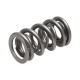 Engine parts Manley Valve Spring 1.324 DOUBLE | races-shop.com