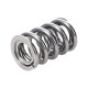 Engine parts Manley Valve Spring 1424 POLISHED | races-shop.com