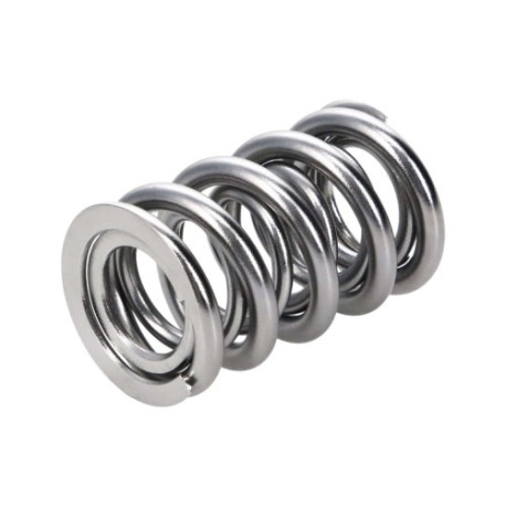 Engine parts Manley Valve Spring 1424 POLISHED | races-shop.com