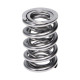 Engine parts Manley Valve Spring 1424 POLISHED | races-shop.com