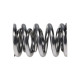 Engine parts Manley Valve Spring 1424 POLISHED | races-shop.com