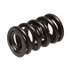 Engine parts MANLEY valve springs (double), 40.13 mm, 1 pcs | races-shop.com