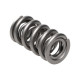 Engine parts MANLEY valve springs (double), 39.37 mm, 16 pcs | races-shop.com