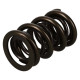 Engine parts MANLEY valve springs (double), 41.91 mm, 1 pcs | races-shop.com