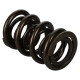 Engine parts MANLEY valve springs (double), 41.91 mm, 1 pcs | races-shop.com