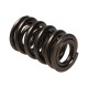 Engine parts Manley Valve Spring 1.650 DOUBLE | races-shop.com