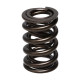 Engine parts MANLEY valve springs (double), 41.91 mm, 16 pcs | races-shop.com