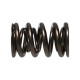 Engine parts Manley Valve Spring 1.650 DOUBLE | races-shop.com