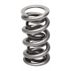 Engine parts Manley Valve Spring 1.500 DOUBLE | races-shop.com