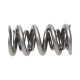 Engine parts Manley Valve Spring 1.500 DOUBLE | races-shop.com