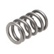 Engine parts Manley Valve Spring SUBARU WRX | races-shop.com