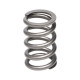 Engine parts Manley Valve Spring SUBARU WRX | races-shop.com