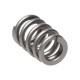 Engine parts Manley Valve Spring SUBARU WRX | races-shop.com