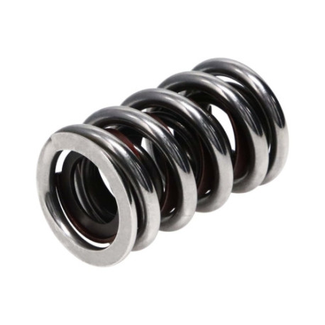 Engine parts Manley Valve Spring 1.550 CHR SIL | races-shop.com
