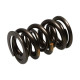 Engine parts MANLEY valve spring kit (NexTek), V3 | races-shop.com