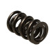Engine parts MANLEY valve spring kit (NexTek), V3 | races-shop.com
