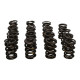Engine parts MANLEY valve spring kit (NexTek), V3 | races-shop.com