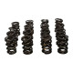 Engine parts MANLEY valve spring kit (NexTek), V3 | races-shop.com