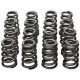 Engine parts Manley Valve Spring/Retainer Kit Subaru WRX/STI | races-shop.com