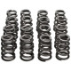 Engine parts Manley Valve Spring/Retainer Kit Subaru WRX/STI | races-shop.com