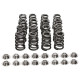 Engine parts Manley Valve Spring/Retainer Kit Subaru WRX/STI | races-shop.com