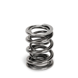 SUPERTECH Valve Spring Set Ford/Opel/Mits/Ren/Nis/Sub