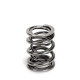 Engine parts SUPERTECH Valve Spring Set Audi 2.2L 5-cyl | races-shop.com