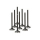 Engine parts SUPERTECH Valve Kit Exhaust VAG 1.8L 8v 34.00mm (+1mm) | races-shop.com
