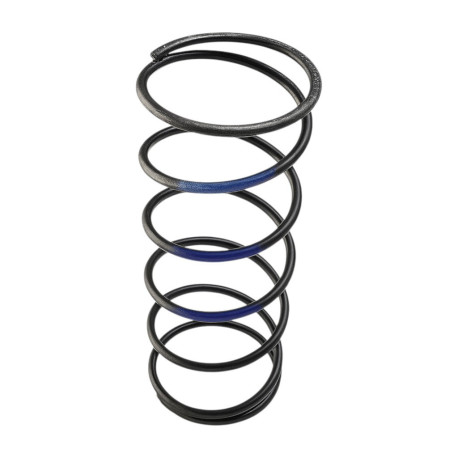 Accessories Garrett 898344-0002 Wastegate Spring GVW-40 (Blue) | races-shop.com