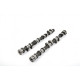 Engine parts Piper Camshaft Ford 2.0/2.5L 16v Duratec VVT Ultimate Road | races-shop.com