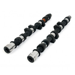 Piper Camshaft Peugeot/Citroen 2.0L 16v EW10J4 Race