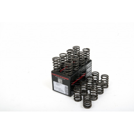 Engine parts Piper Single Valve Springs Opel C20XE /C20LET | races-shop.com
